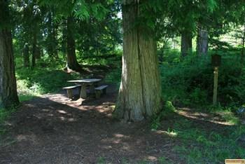 Wild Goose Campground on the Middle Fork of the Clearwater River