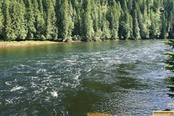 Wild Goose Campground on the Middle Fork of the Clearwater River