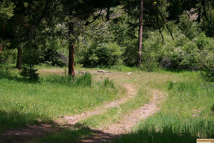 Willow Creek Transfer Camp primitive campsites