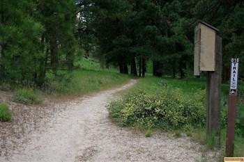 Willow Creek Transfer Camp trail #18