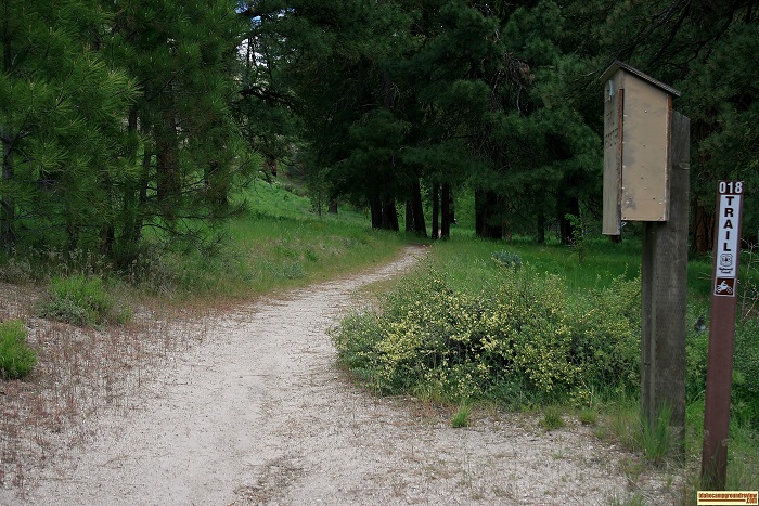 Willow Creek Transfer Camp trail #18