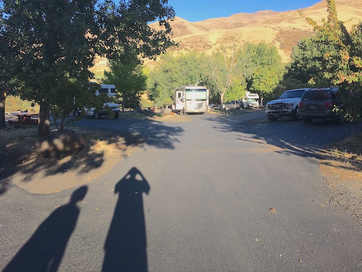 A picture of some campsites in loop B of Woodhead Park on Brownlee Reservoir.