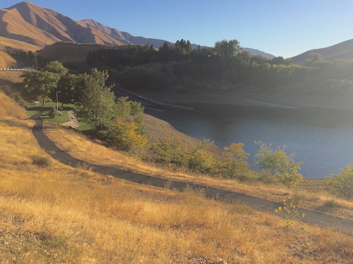 A picture of one of the trails in Woodhead Park.
