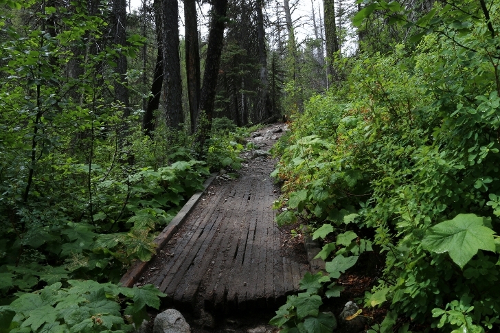 Hiking to Alice Lake in the Sawtooth Mountains of Idaho.