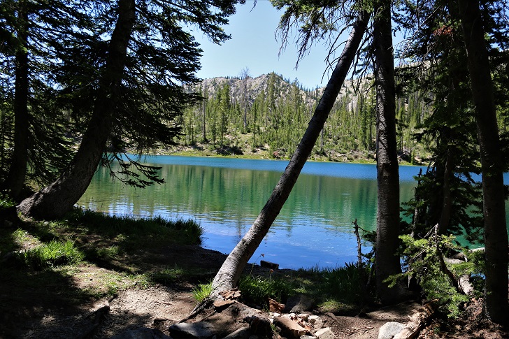 A picture of a a nice campsite on Cabin Creek Lake.