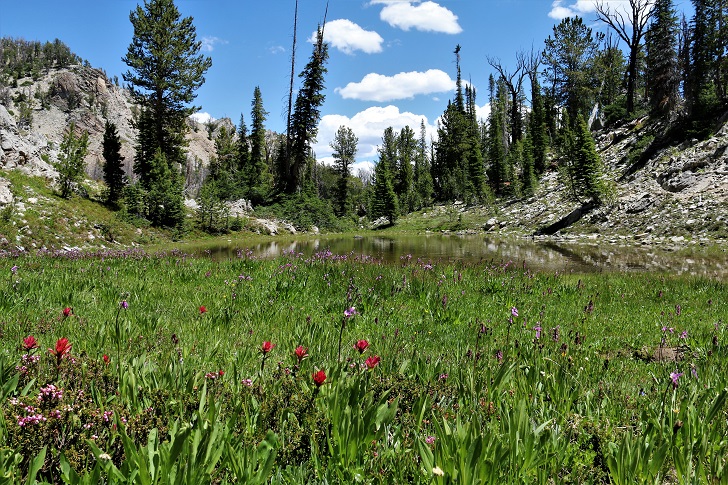A picture of the trail above Bridal Veil Falls.