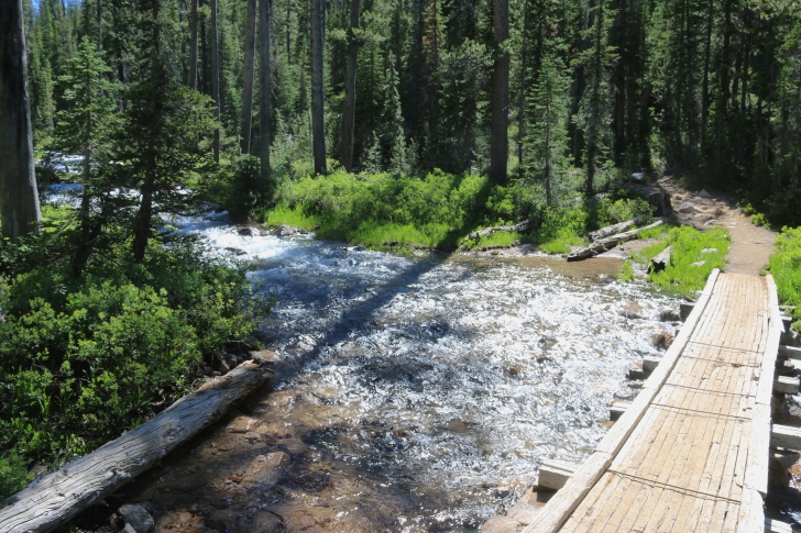 A picture of trail 092 at the bridge above Dolphin Lake.