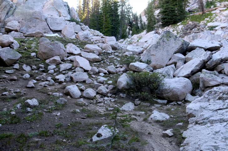 a picture of the path to Mushroom Lake.