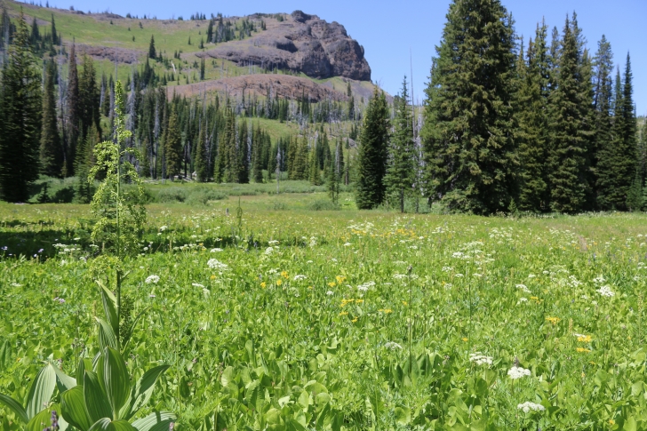 Hiking to Lava Butte Lakes north of McCall, Idaho.