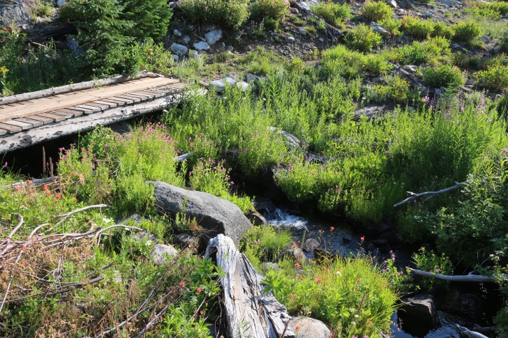 Hiking to Lava Butte Lakes north of McCall, Idaho.