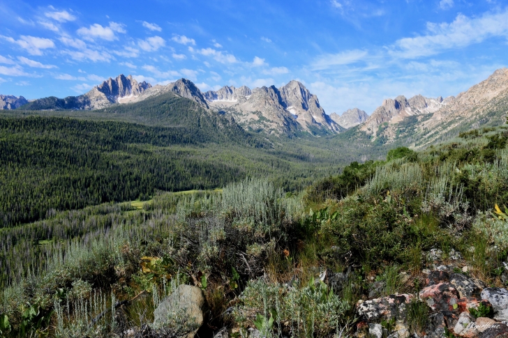 A picture taken from the Alpine Way trail of the Fishhook Creek basin with Mt Heyburn, Braxon Peak, Horstmann Peak and the southern edge of Thompson P