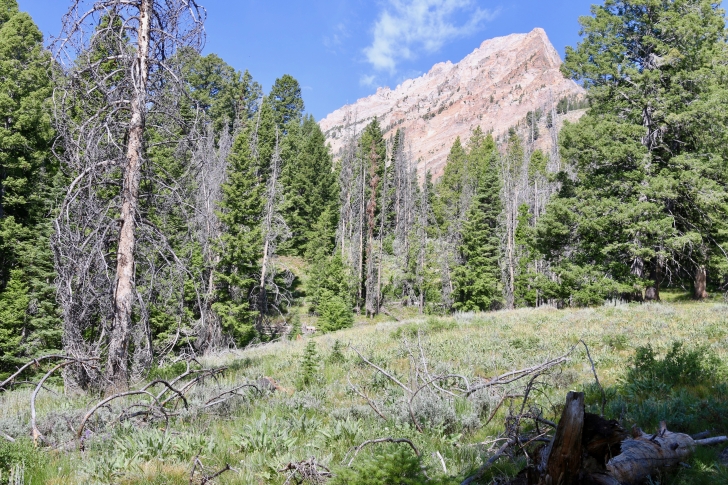 The point of a ridge off of William Peak.