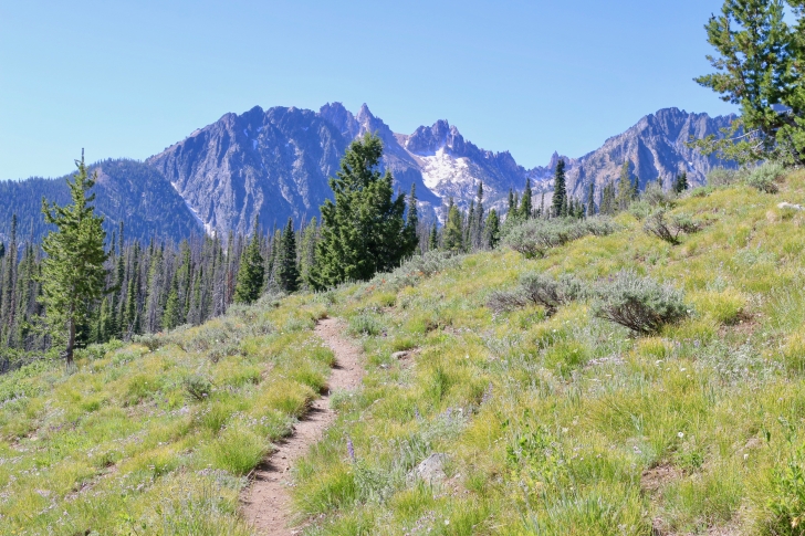 A picture of a view from the Alpine Way trail.