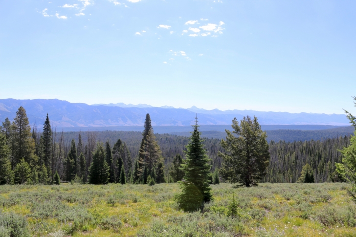 A view along Alpine Way trail.