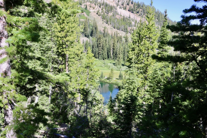 A pond near Marshall Lake.