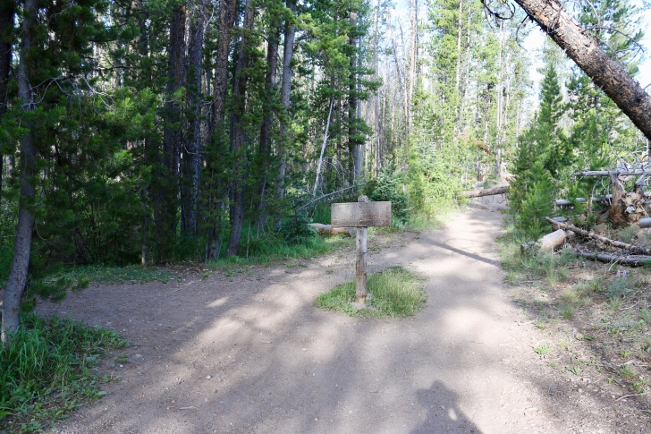 A picture of the junction in the trail turn left to Bench Lakes and straight ahead for Marshall Lake and Fishhook Trail.