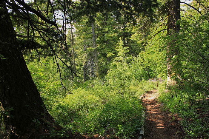 Mores Mountain Trail near Boise, Idaho.