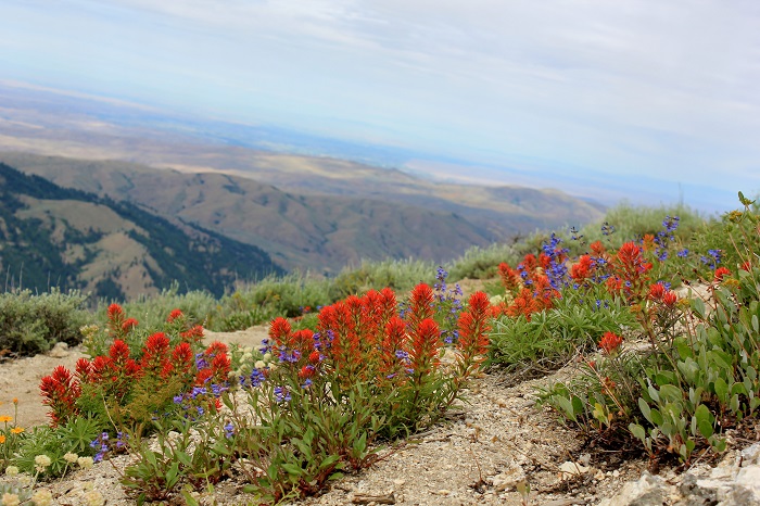 Mores Mountain Trail near Boise, Idaho.