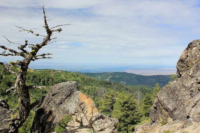 Mores Mountain Trail near Boise, Idaho.