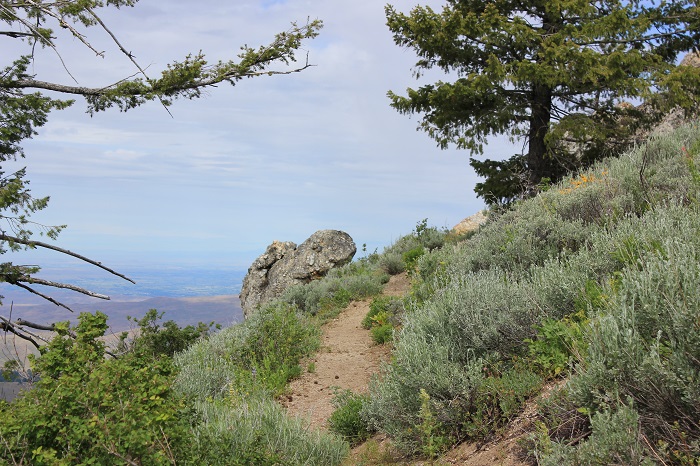 Mores Mountain Trail near Boise, Idaho.