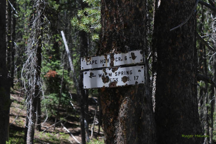 Warm Springs Trail #147 near Bull Trout Lake