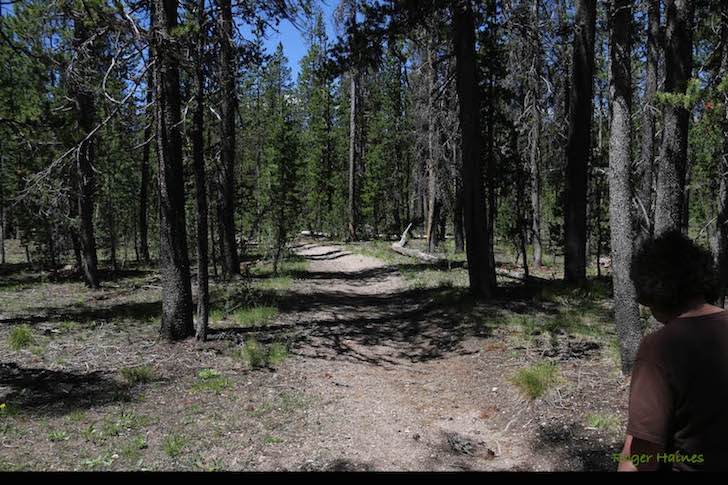 Warm Springs Trail #147 near Bull Trout Lake