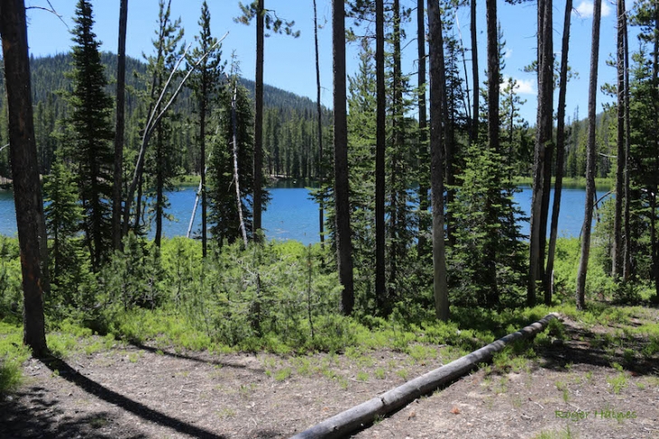 Warm Springs Trail #147 near Bull Trout Lake