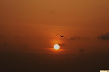Picture of Sunset at Bandon, Oregon