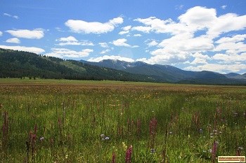 View of Bear Valley, Idaho from the road to Dagger Falls