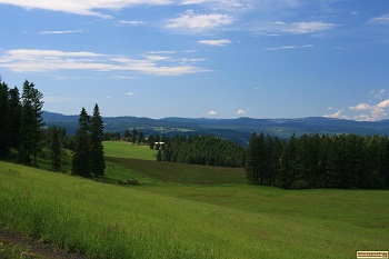view along canyon creek road near orofino, idaho
