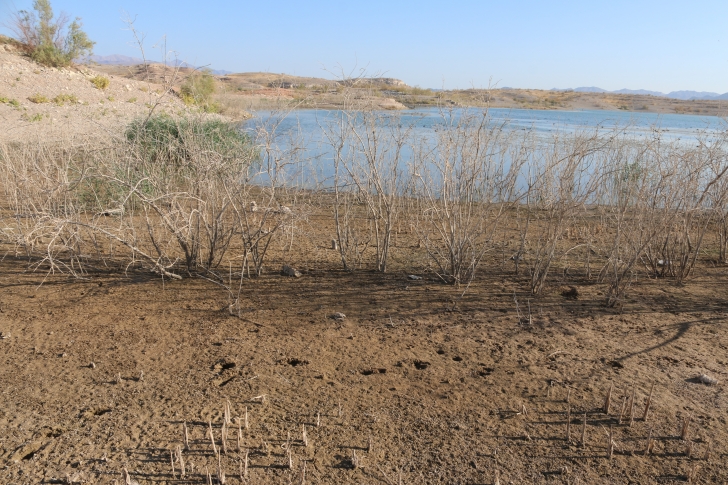 Free camping on Eight Mile Road at Lake Meade in Nevada