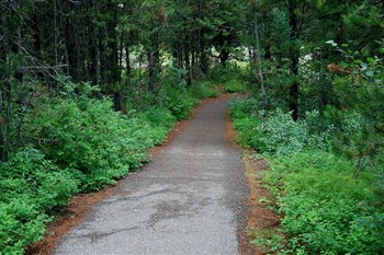 Big Springs in Island Park