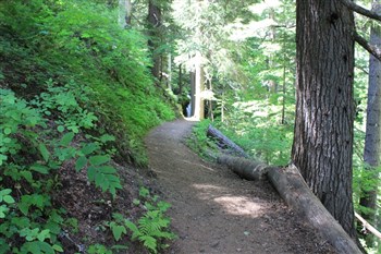 Fern And Shadow Falls near Devil's Elbow Campground