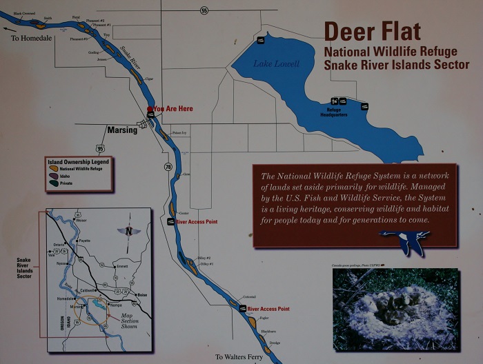 A Guide to Marsing Pond Park