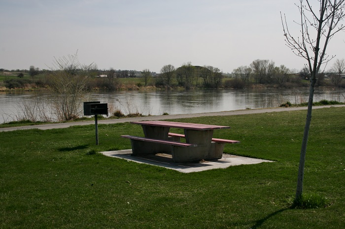 A Guide to Marsing Pond Park