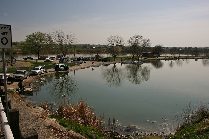 A Guide to Marsing Pond Park