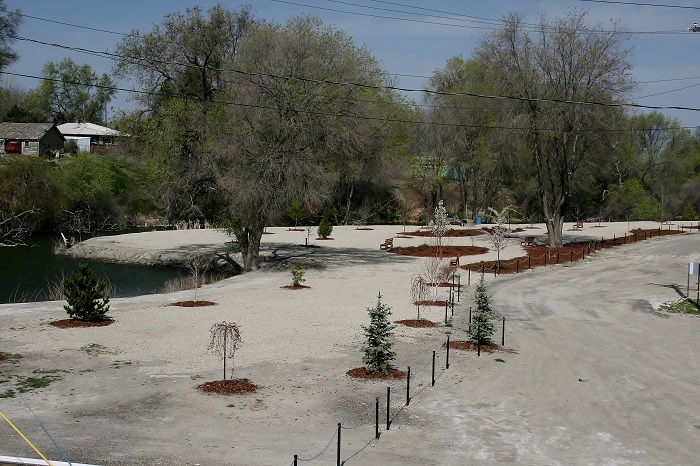 A Guide to Marsing Pond Park