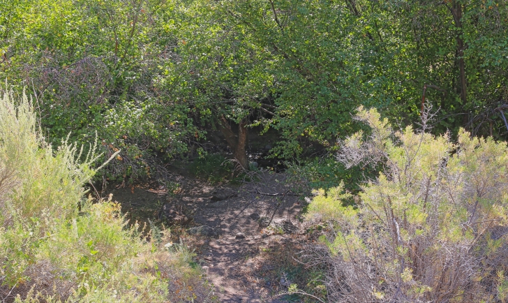 Jump Creek Recreation Area in Owyhee County Idaho