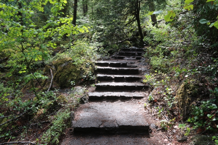 Hiking to Toketee Falls on Oregon's North Umpqua River.