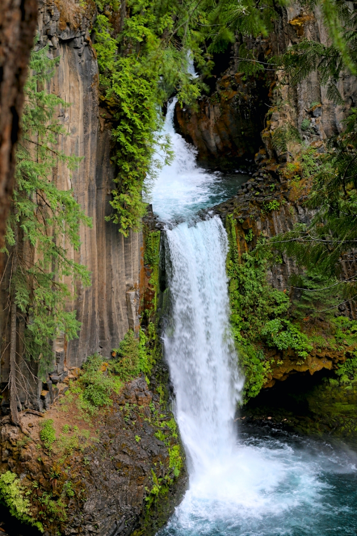 Hiking to Toketee Falls on Oregon's North Umpqua River.