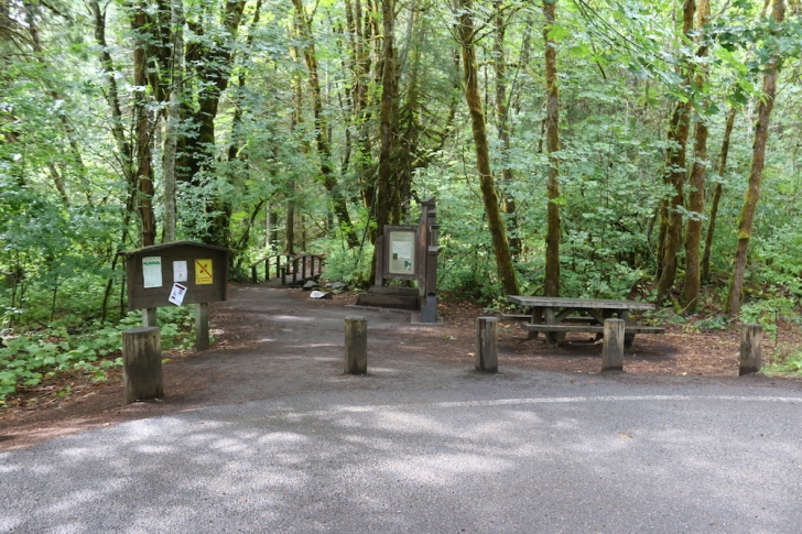 Hiking to Toketee Falls on Oregon's North Umpqua River.