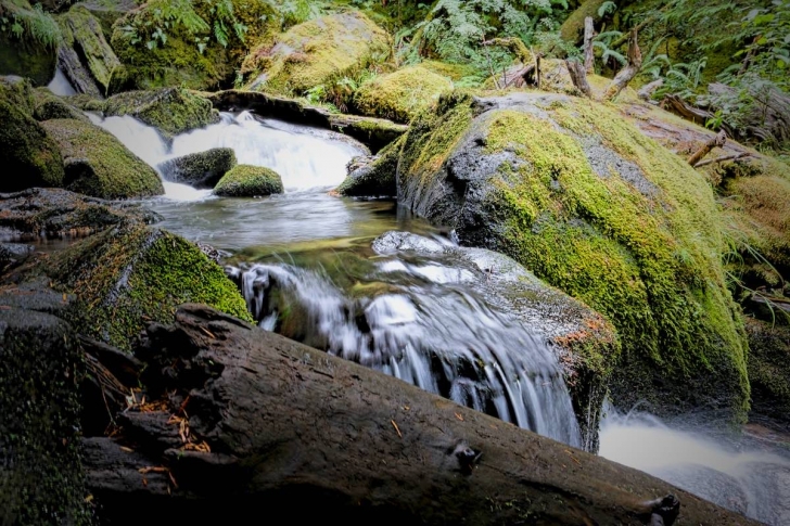 Watson Creek below Watson Falls in Oregon.